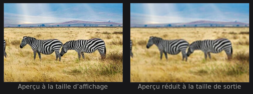 À droite, l’aperçu réellement réduit à la taille de sortie — c’est celui que l’outil affiche.