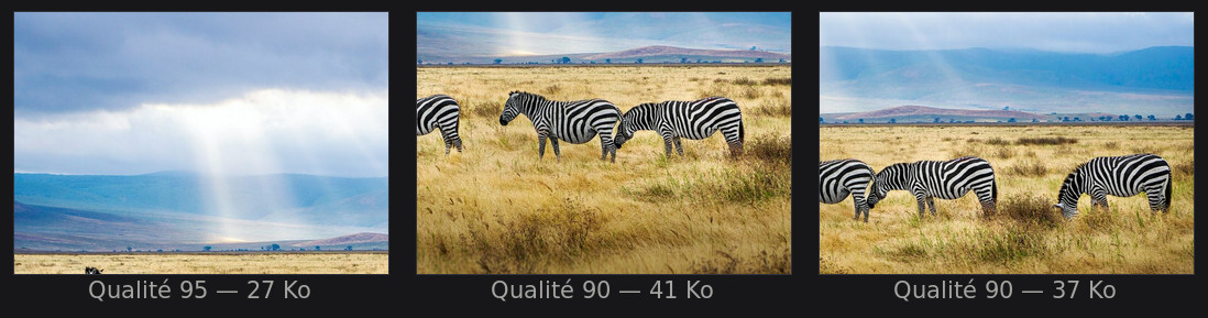 Trois zones très différentes, toutes ramenées sous 45 Ko : la qualité trouvée n’est pas la même.