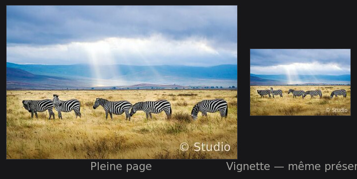 Dimensionné en pourcentage de la largeur : même présence sur une vignette et sur une pleine page.