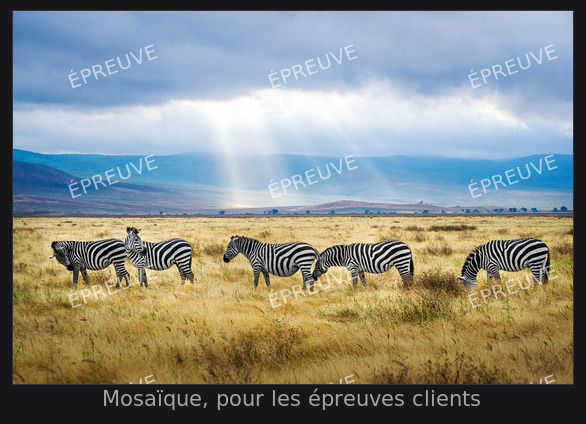 La mosaïque rend le fichier inutilisable tel quel, sans empêcher de juger l’image.