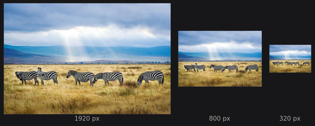 La même photo, trois tailles demandées.