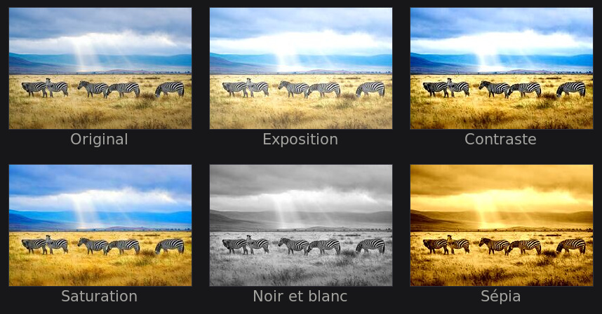 Quelques réglages du panneau, appliqués à la même image.