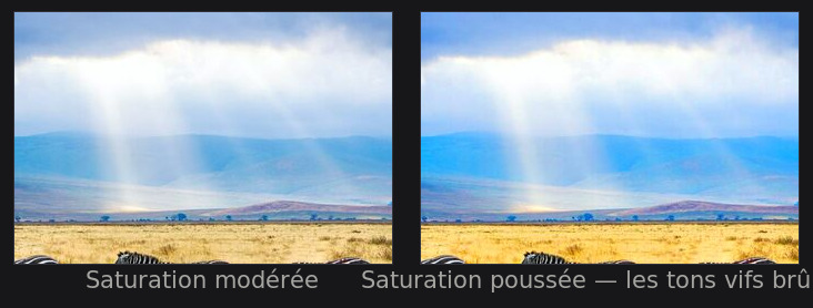 La saturation pousse tout, y compris ce qui était déjà vif — c’est le problème auquel l’éclat répond.